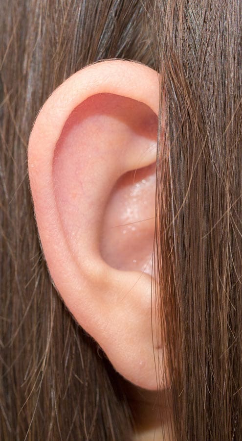 HR Plastic Sugery - Large ears - sticky out ears - Bat ears