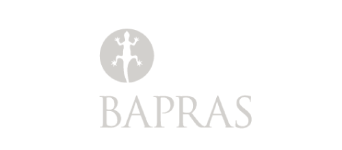HR Plastic Surgery - BAPRAS