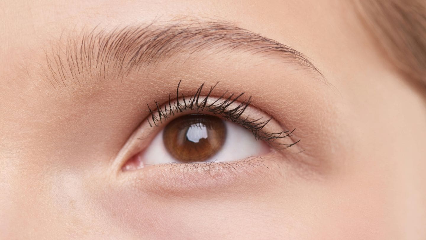 HR Plastic Surgery - Brow Lift